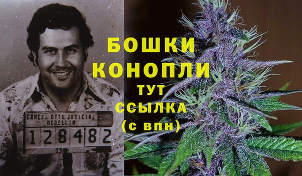 spice Балахна