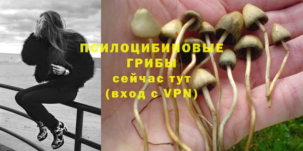 spice Балахна
