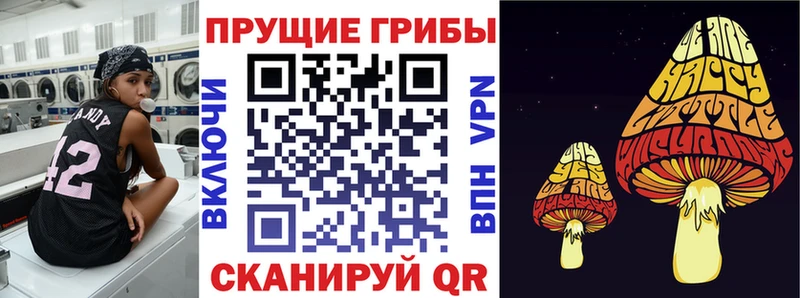 darknet как зайти  Ясногорск  Псилоцибиновые грибы мицелий 